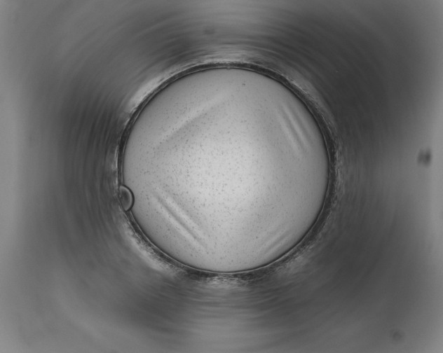 X0000112510842200909071306