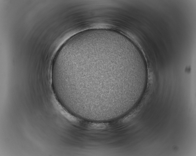 X0000112510843200909071306