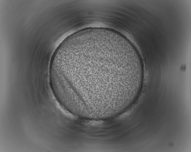 X0000112510845200909071306