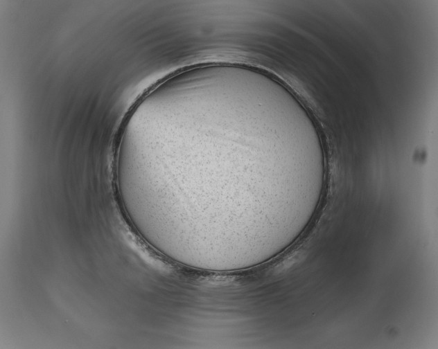 X0000112510846200909071306