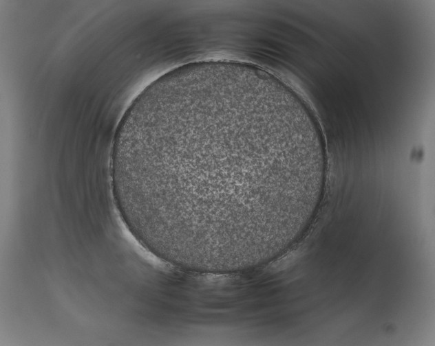 X0000112510847200909071306