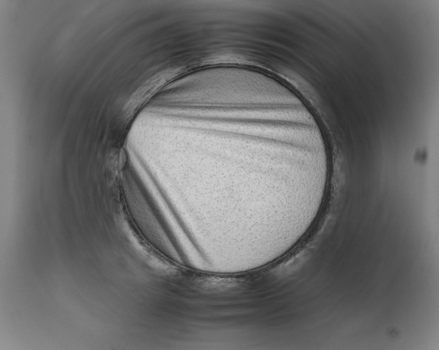 X0000112510849200909071306