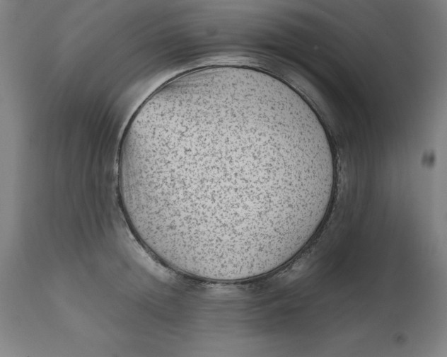 X0000112510852200909071306