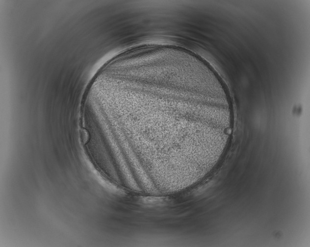 X0000112510853200909071306