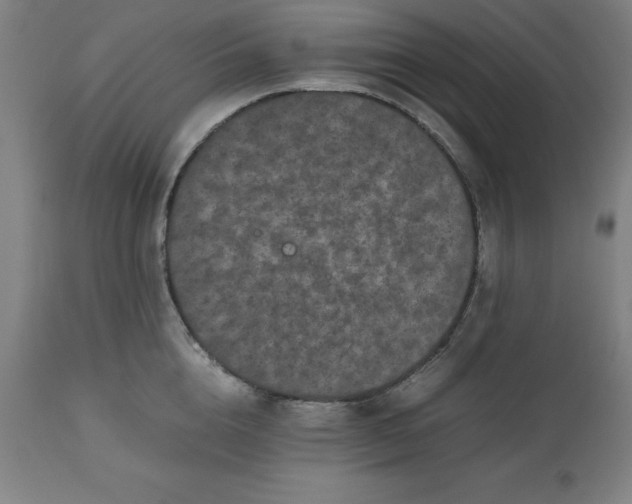 X0000112510856200909071306