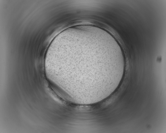 X0000112510858200909071306