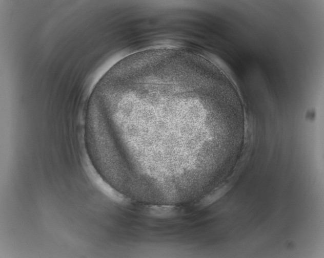 X0000112510859200909071306