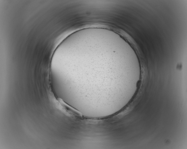 X0000112510860200909071306