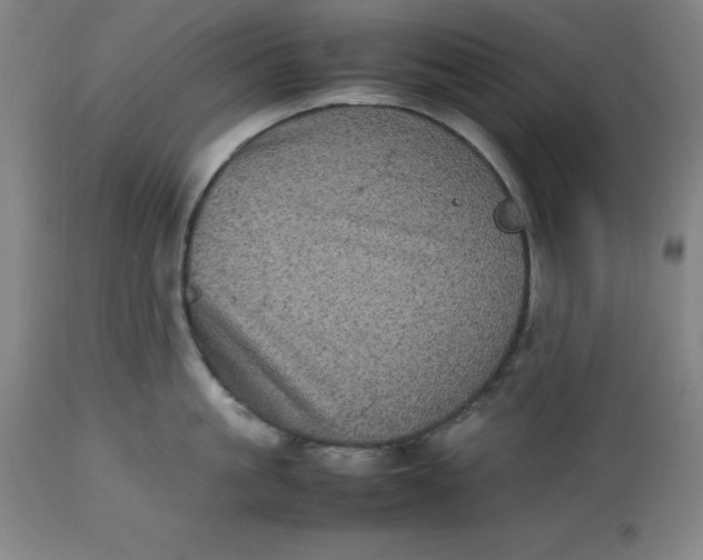 X0000112510861200909071306