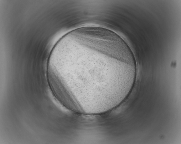 X0000112510862200909071306