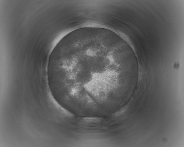 X0000112510863200909071306