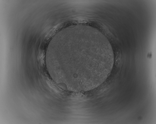 X0000112510866200909071306