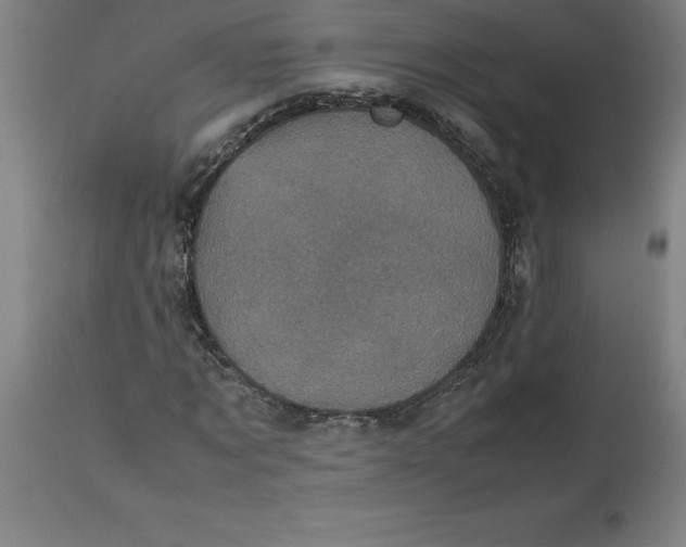 X0000112510869200909071306