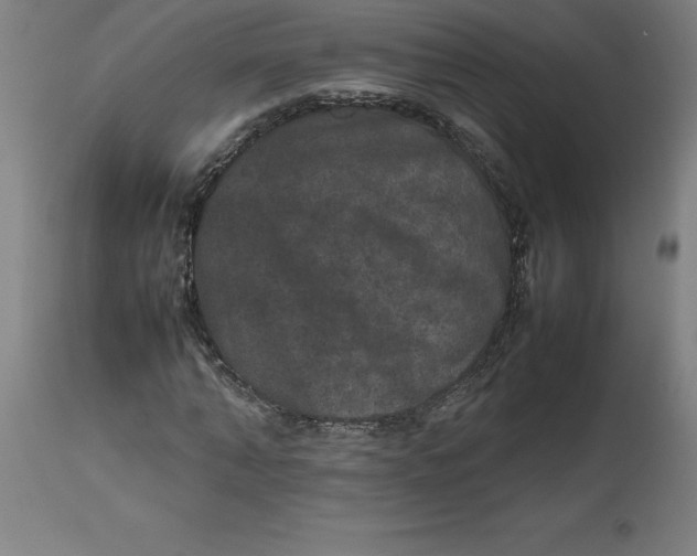 X0000112510870200909071306