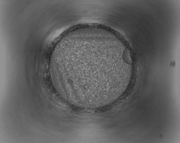 X0000112510871200909071306