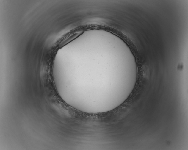 X0000112510872200909071306