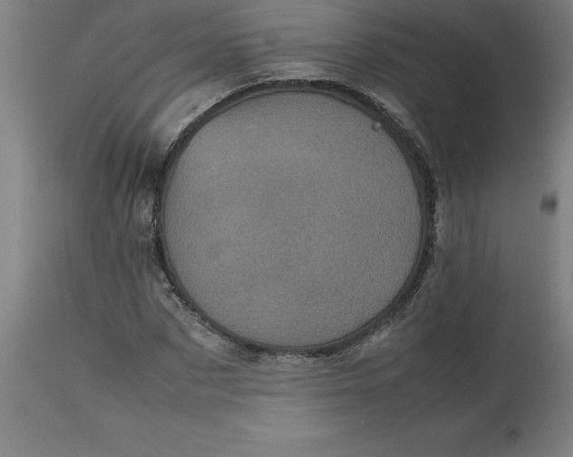 X0000112510873200909071306