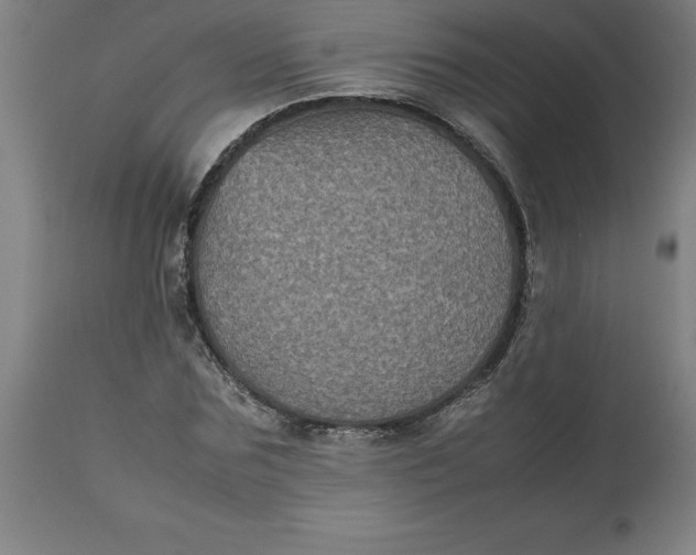 X0000112510875200909071306