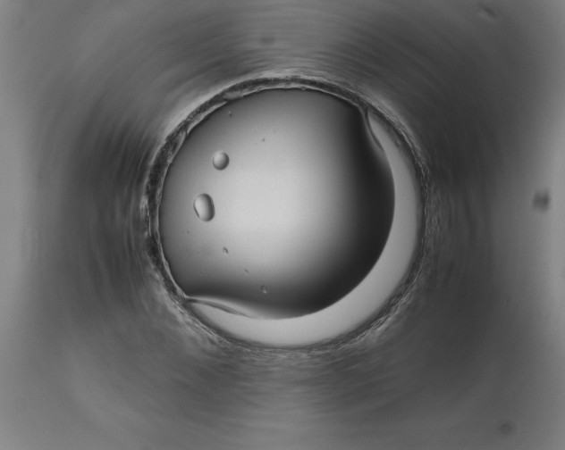 X0000112510876200909071306