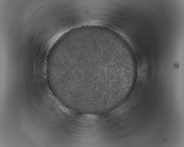 X0000112510878200909071306