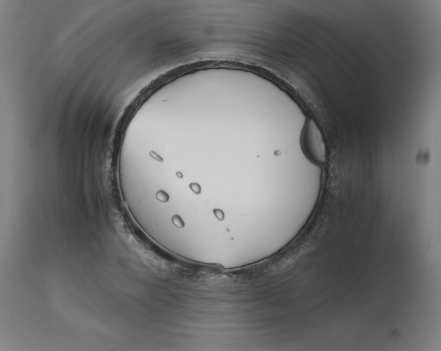 X0000112510880200909071306