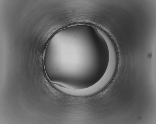 X0000112510881200909071306