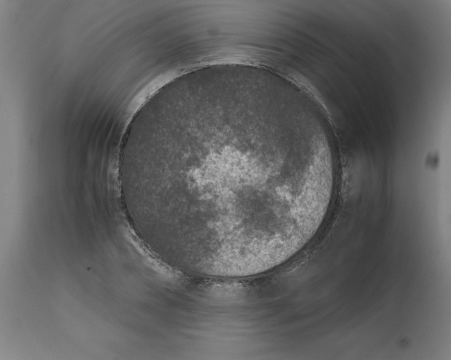 X0000112510882200909071306