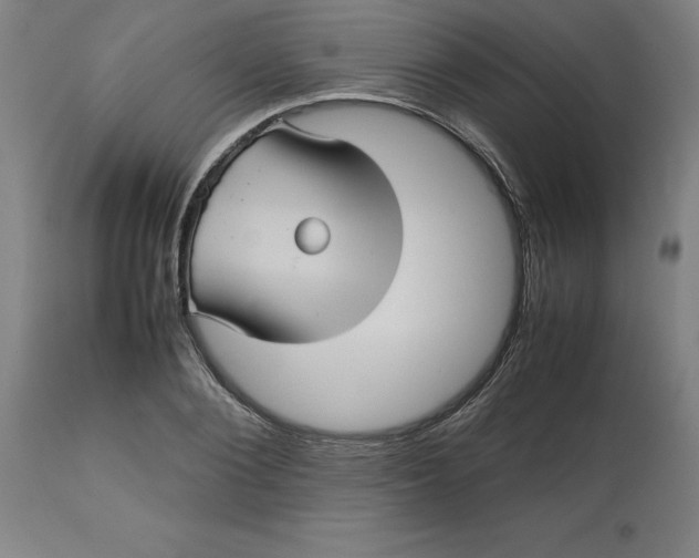 X0000112510884200909071305