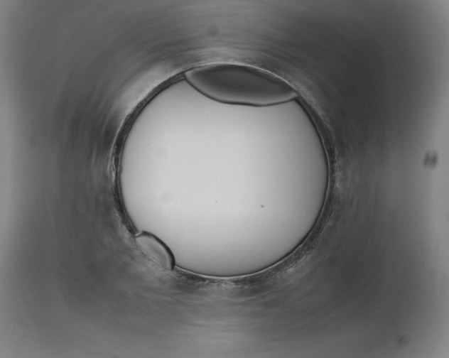 X0000112510885200909071305