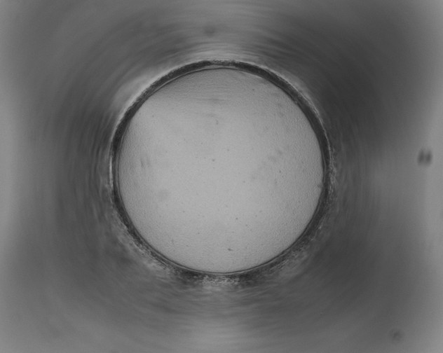 X0000112510887200909071305