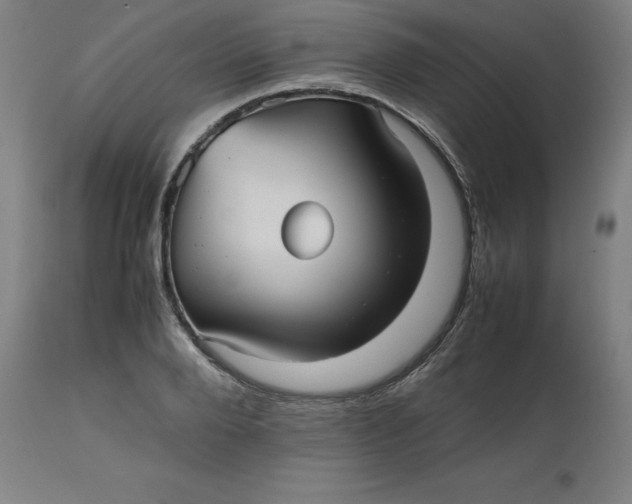 X0000112510888200909071305