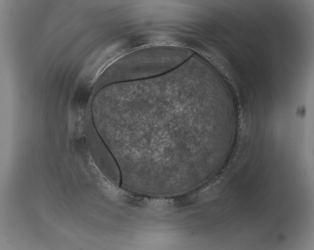 X0000112510889200909071305