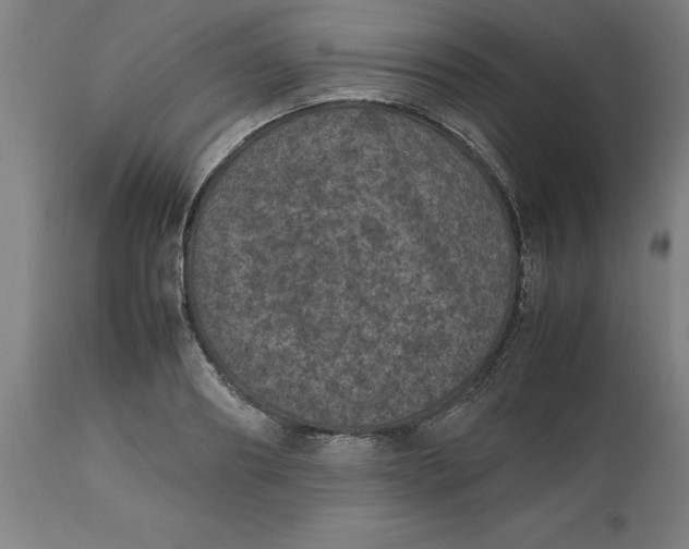 X0000112510890200909071305