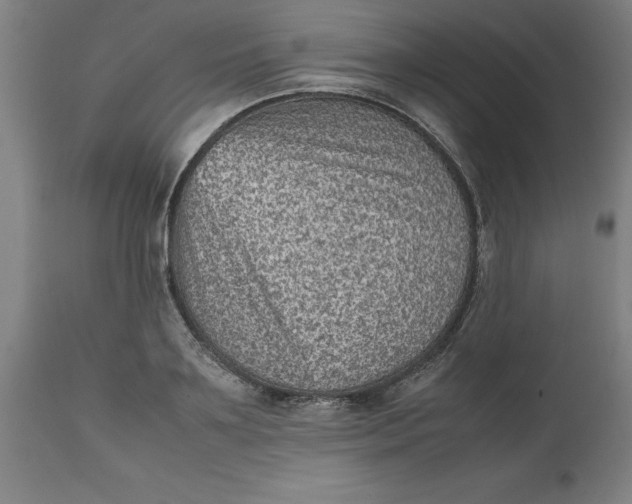 X0000112510891200909071305