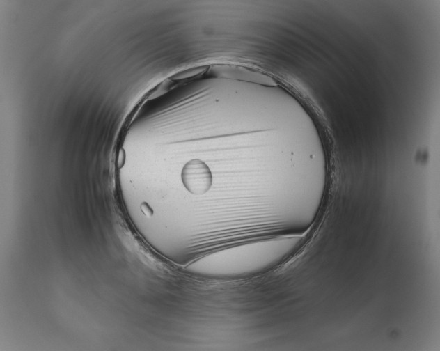 X0000112510892200909071305