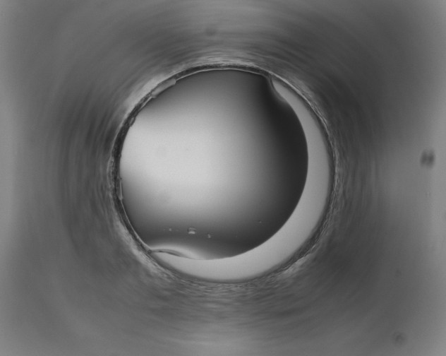 X0000112510893200909071305