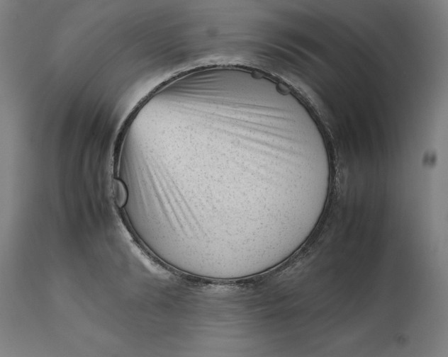 X0000112510894200909071305