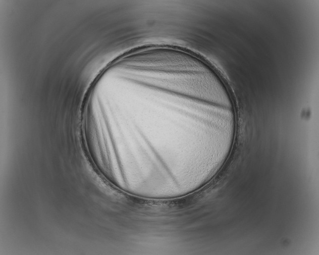 X0000112510895200909071305