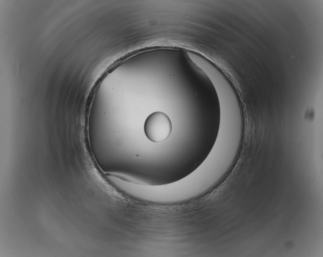 X0000112510896200909071305