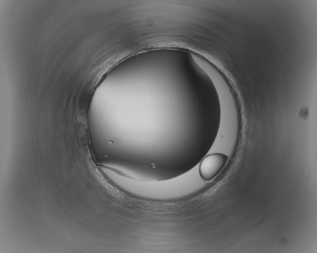 X0000112510897200909071305