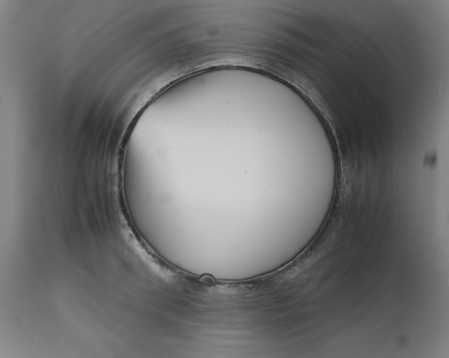 X0000112510898200909071305