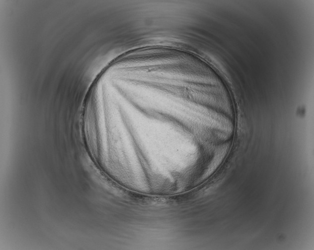 X0000112510899200909071305