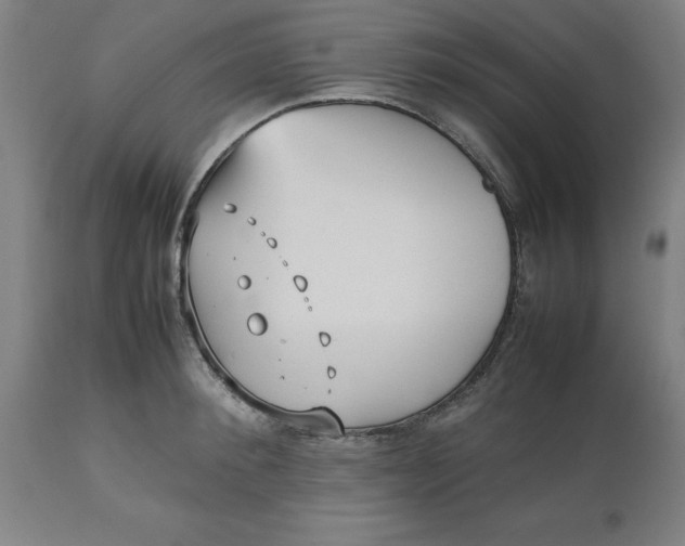 X0000112510900200909071305