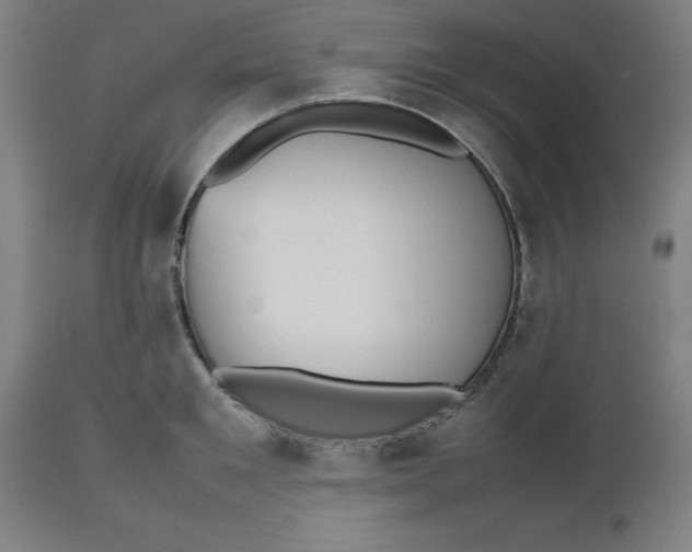 X0000112510901200909071305