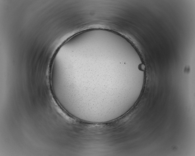 X0000112510902200909071305