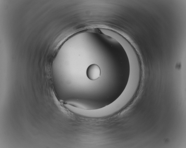 X0000112510905200909071305