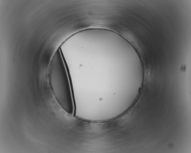 X0000112510908200909071305