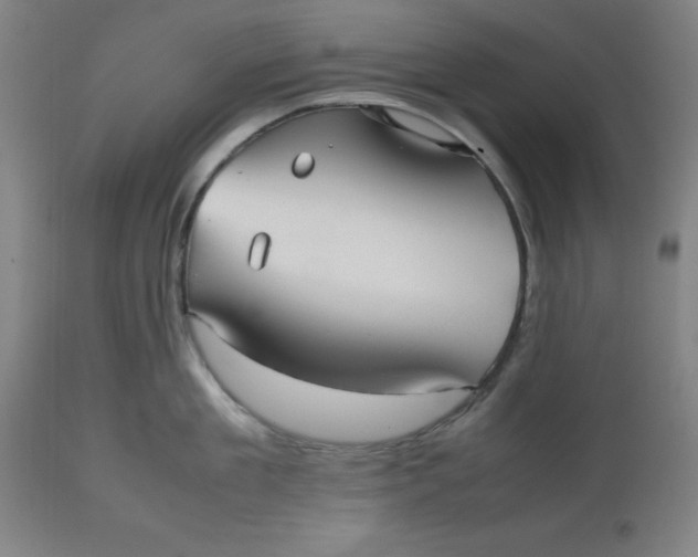 X0000112510909200909071305