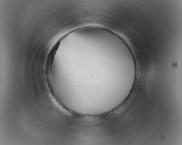 X0000112510910200909071305