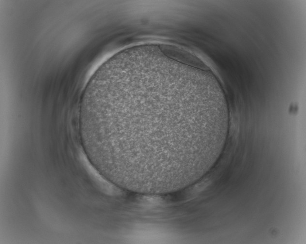 X0000112510911200909071305